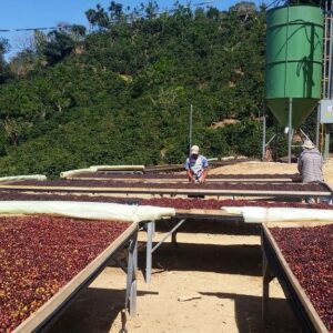 Centro agricola Frailes